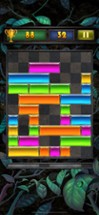 Drop Block Puzzle Image