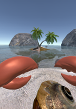 Seashell Scuttle (Oculus Touch) Image