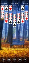 Solitaire Card Game by Mint Image