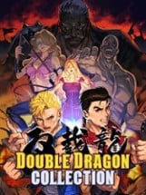 Double Dragon Collection Image