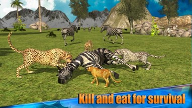 Angry Cheetah Simulator 3D Image