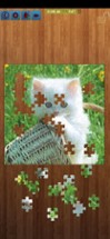 Cats Jigsaw Puzzles - Titan Image