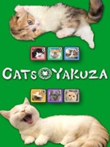 Cats Yakuza Image