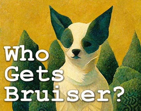Who Gets Bruiser? Game Cover