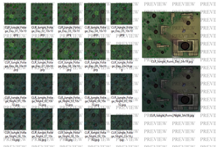 Battle Maps: Jungle Foliage Image