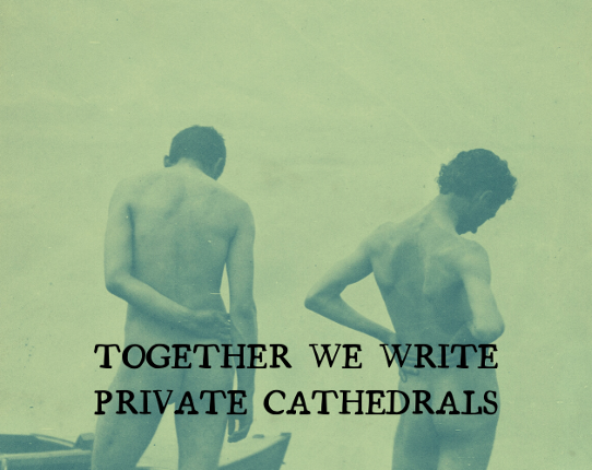 Together We Write Private Cathedrals Game Cover