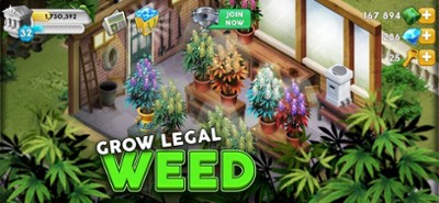 Hempire - Weed Growing Game Image