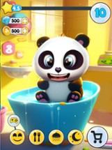 Pu - Care panda bears Image