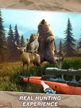 Hunting World- Sniper Shooting Image