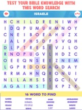 Bible Word Search Puzzle Games Image