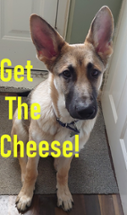 Get The Cheese! Image