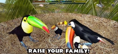 Ultimate Bird Simulator Image
