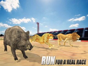 Crazy Wild Animal Racing Game Image