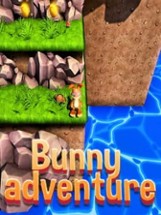 Bunny adventure Image
