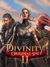 Divinity: Original Sin II Image