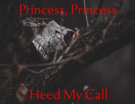 Princess, Princess, Heed My Call Game Cover