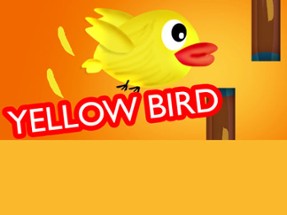 Yellow bird Image