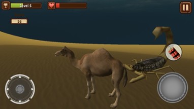 Camel Simulator Image