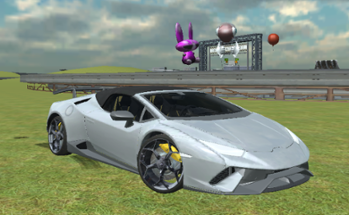 Sports Cars Driver Image