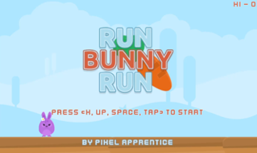 Run Bunny Run Image