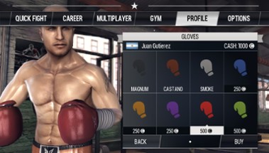 Real Boxing Image