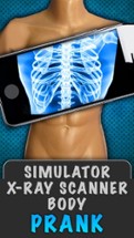 Simulator X-Ray Body Image