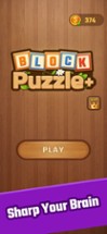 Block Puzzle Plus! Image