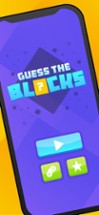 Guess The Blocks Image