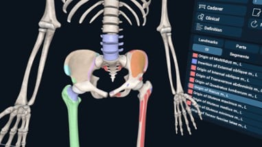 3D Organon XR Image