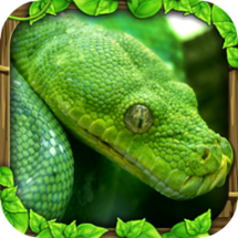 Snake Simulator Image