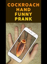 Cockroach Hand Funny Prank Image