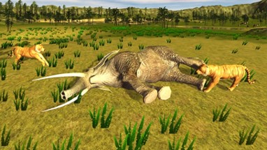 Tiger Simulator &amp; Safari Jungle Animal Image