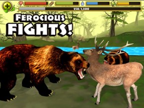 Wildlife Simulator: Bear Image