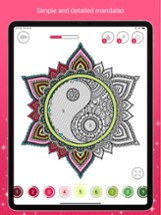 Mandala Color by Number Image