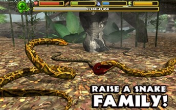 Snake Simulator Image
