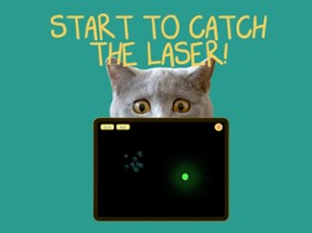 Cat laser pointer  - Pet fun Image