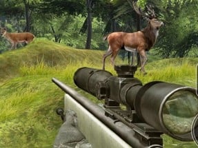 Sniper Hunting Deadly Animal Image