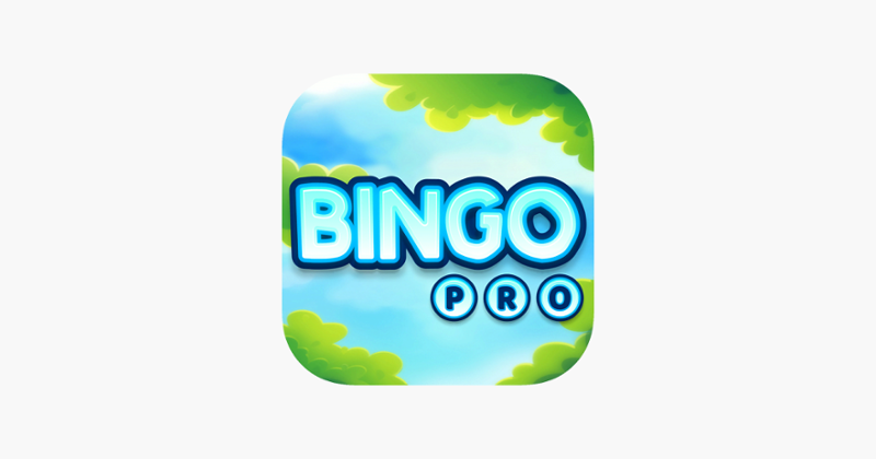 Bingo Masters Professional Game Cover