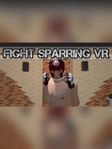 Fight Sparring VR Image