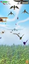 AvianJam - Bird Flight Image