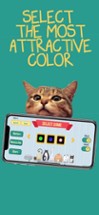 Cat laser pointer  - Pet fun Image