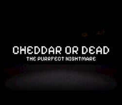 Cheddar or Dead: The Purrfect Nightmare Image