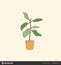 e-Plant Image