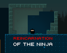 Reincarnation of the Ninja Image