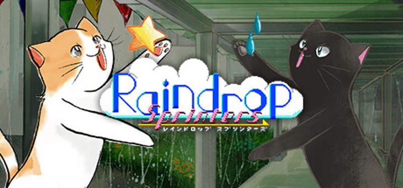 Raindrop Sprinters Game Cover