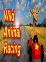 Wild Animal Racing Image