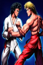 Mortal Fighting Game Image