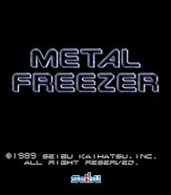 Metal Freezer Image