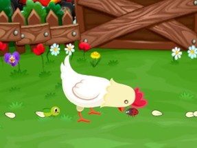 Stupid Chicken Image