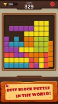 Amazing New Block Puzzle Image
